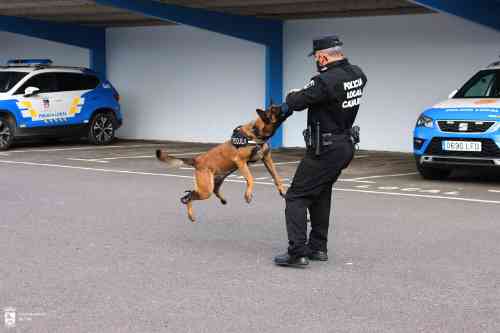 exhibicion de perro policia